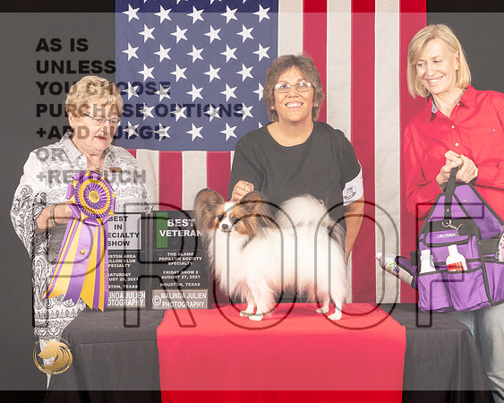 Papillon #7 Sat BISSBVet Judge_Judith_Brown_0881_HstnToy21-HR3