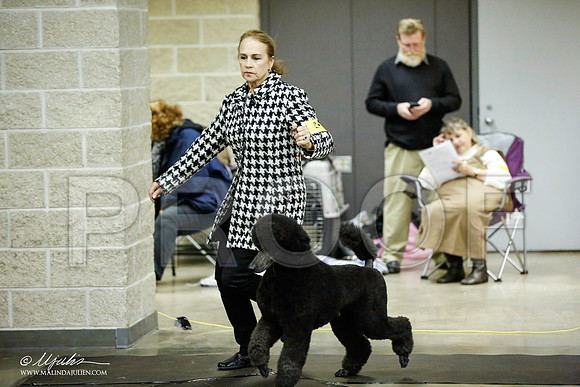 _JJ_5650-BeltonJan2015IABCA-HR3