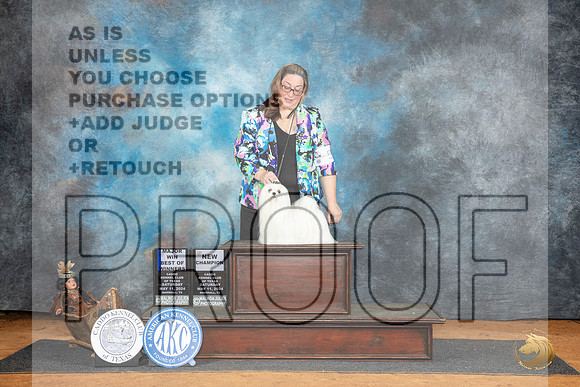 Maltese #9 Sat BOWMCH Judge Suzanne Dillin__JP_7738_MARSHALL_2024_HR3
