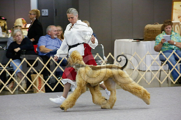 _JJ_0234-AfgBeltonOct2014-HR3
