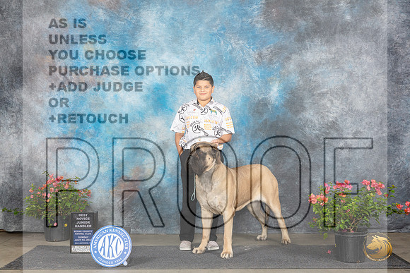 Mastiff #J101 Sun NOVJr1 Judge Karen McFarlane__JP_6156_San Antonio_2024_HR3
