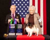 Papillon #10 Sun WBBBE Judge_Fred_Bassett