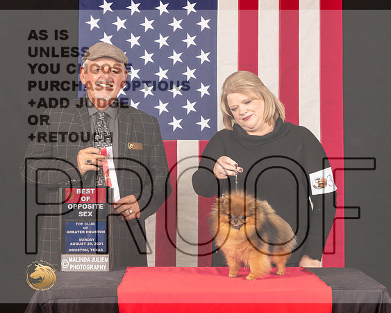 Pomeranian #36 Sun BOB Judge_Rodney_Merry_0942_HstnToy21-HR3