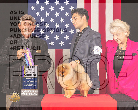 Pomeranian #41 Sun BOB Judge_Rodney_Merry_0967_HstnToy21-HR3