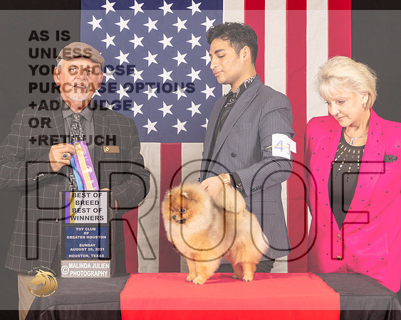 Pomeranian #41 Sun BOB Judge_Rodney_Merry_0968_HstnToy21-HR3
