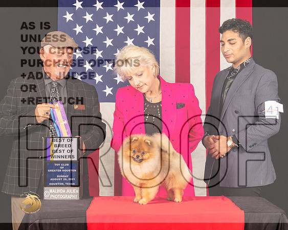 Pomeranian #41 Sun BOB Judge_Rodney_Merry_0973_HstnToy21-HR3