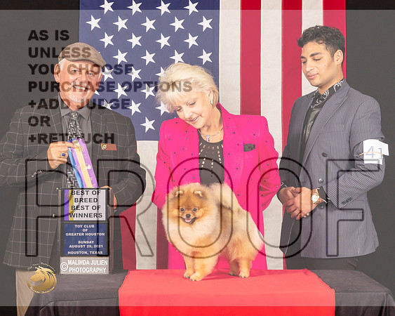 Pomeranian #41 Sun BOB Judge_Rodney_Merry_0975_HstnToy21-HR3