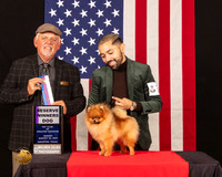 Pomeranian #71 Sun RWD Judge_Rodney_Merry