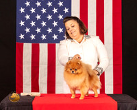 Pomeranian #8 Fri1 BOSNCh Judge_Geno_Sisneros R