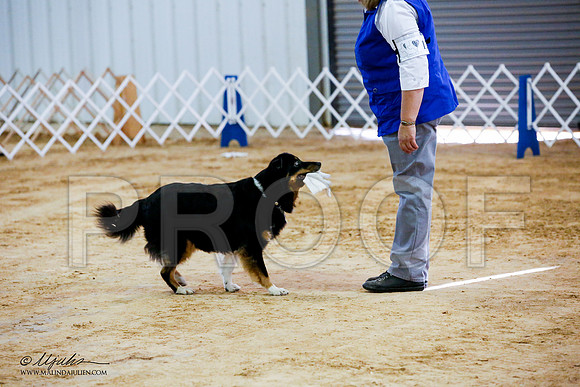 _JJ_7683-ASCACollegeStationNov2014-HR3