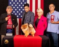 Pomeranian #41 Sun G2 Judge_Rodney_Merry