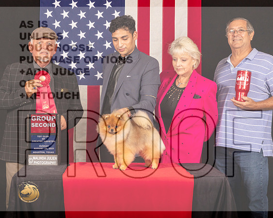 Pomeranian #41 Sun G2 Judge_Rodney_Merry_1097_HstnToy21-HR3