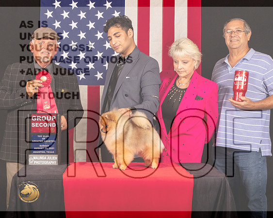 Pomeranian #41 Sun G2 Judge_Rodney_Merry_1100_HstnToy21-HR3