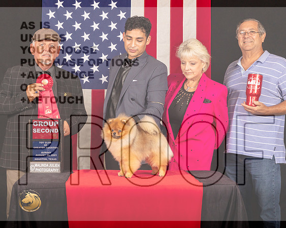 Pomeranian #41 Sun G2 Judge_Rodney_Merry_1099_HstnToy21-HR3