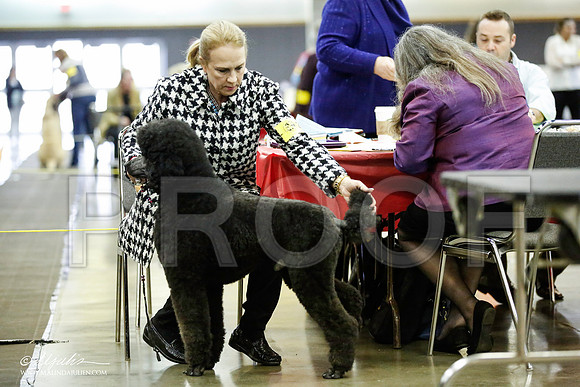 _JJ_5663-BeltonJan2015IABCA-HR3