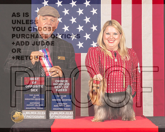 Yorkshire Terrier #14 Sun BOSOHBOB Judge_Rodney_Merry_1120_HstnToy21-HR3