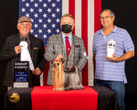Yorkshire Terrier #19 Sun G4 Judge_Rodney_Merry