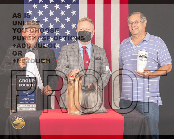 Yorkshire Terrier #19 Sun G4 Judge_Rodney_Merry_1084_HstnToy21-HR3