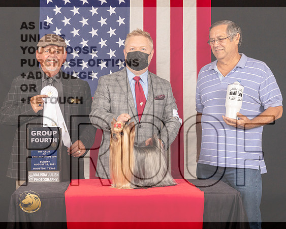 Yorkshire Terrier #19 Sun G4 Judge_Rodney_Merry_1085_HstnToy21-HR3