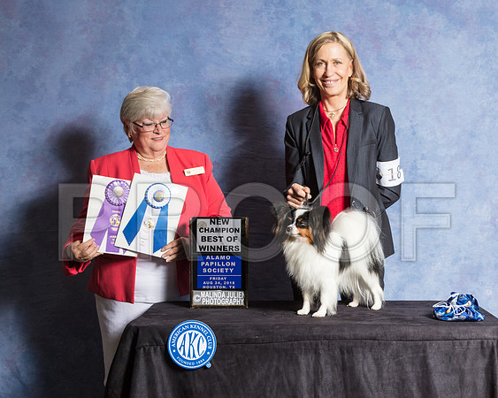 Papillon #18 Fri BOW NCh Judge Mary Napper-SSR_8642-Hstn2018-HR3
