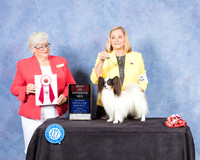 Papillon #5 Fri BOS Judge Mary Napper