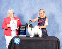 Papillon #7 Fri SD Judge Mary Napper