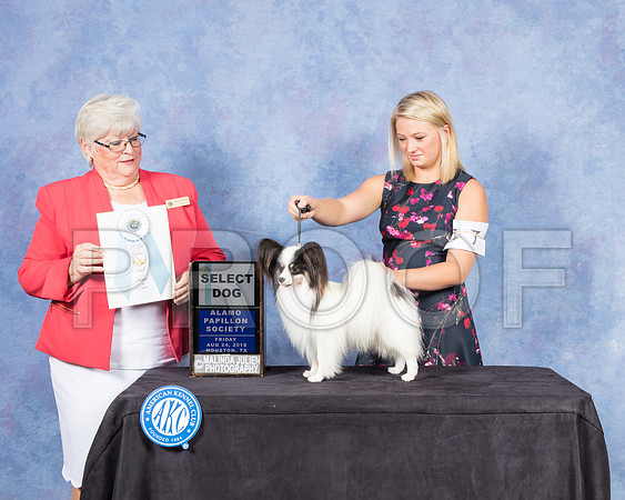 Papillon #7 Fri SD Judge Mary Napper-SSR_8648-Hstn2018-HR3