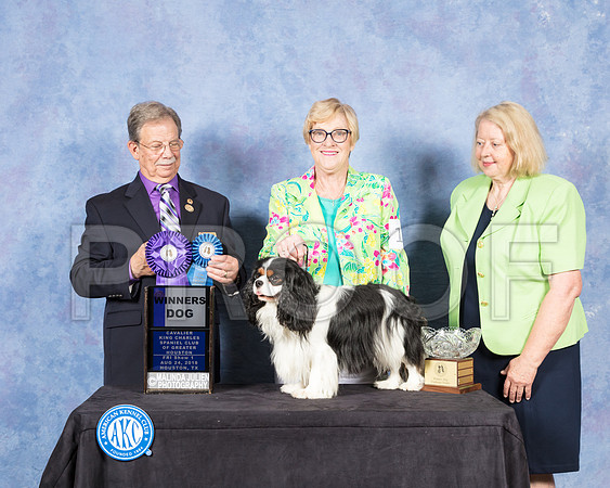 Cavalier King Charles #17 Fri WD Judge John Ioia-SSR_8750-Hstn2018-HR3