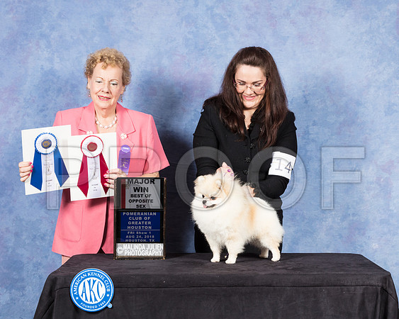 Pomeranian #14 Fri BOW Judge Alane Gomez-SSR_8705-Hstn2018-HR3