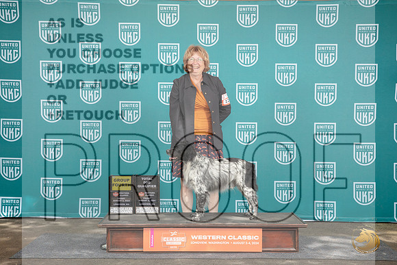 Epagneul Breton #129 Fri G4 Total Dog Judge Matthew Proctor__JP_1116_Longview WA_2024_HR3