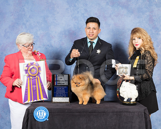 Pomeranian #19 Fri S2 BISS Judge Mary Napper-SSR_8814-Hstn2018-HR3