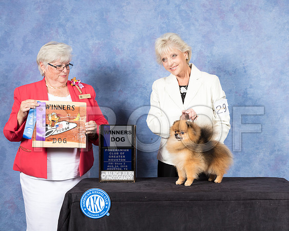 Pomeranian #29 Fri S2 WD Judge Mary Napper-SSR_8808-Hstn2018-HR3