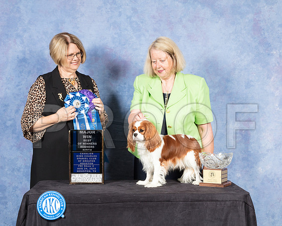 Cavalier King Charles #20 Fri S2 BOW Judge Cindy Lane-SSR_8856-Hstn2018-HR3