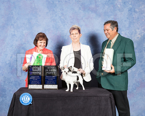 Chihuahua Long Coat #16 Fri S2 WB Maj Judge Helen Tomb Taylor-SSR_8921-Hstn2018-HR3