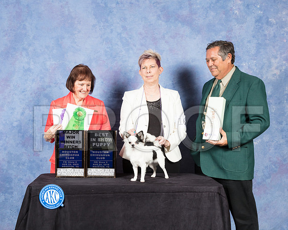 Chihuahua Long Coat #16 Fri S2 WB Maj Judge Helen Tomb Taylor-SSR_8922-Hstn2018-HR3