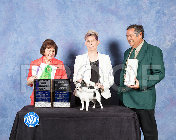 Chihuahua Long Coat #16 Fri S2 WB Maj Judge Helen Tomb Taylor-SSR_8924-Hstn2018-HR3