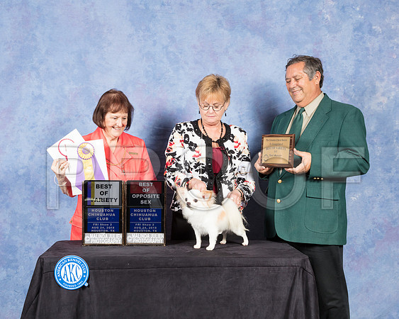 Chihuahua Long Coat #5 Fri S2 Judge Helen Tomb Taylor-SSR_8906-Hstn2018-HR3