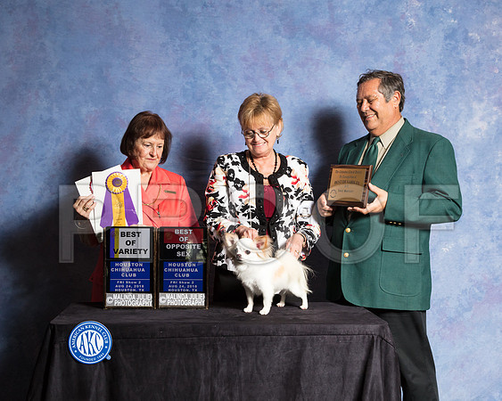 Chihuahua Long Coat #5 Fri S2 Judge Helen Tomb Taylor-SSR_8908-Hstn2018-HR3