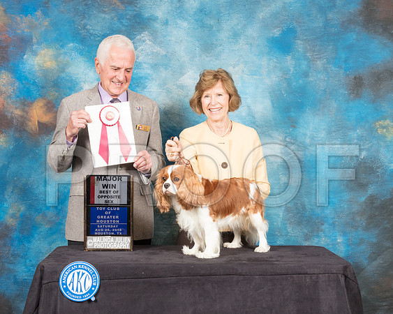 Cavalier King Charles Spaniel #12 Sat BOS Maj Judge Ted Eubank-SSR_8957-Hstn2018-HR3
