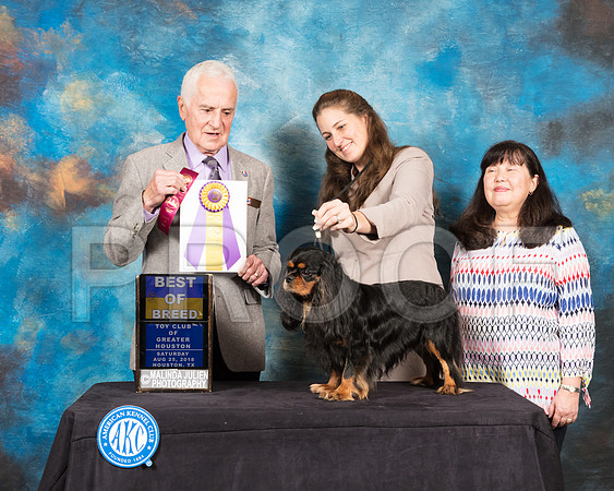 Cavalier King Charles Spaniel #19 Sat BOB Judge Ted Eubank-SSR_8967-Hstn2018-HR3