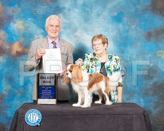 Cavalier King Charles Spaniel #9 Sat SD Judge Ted Eubank-SSR_8959-Hstn2018-HR3