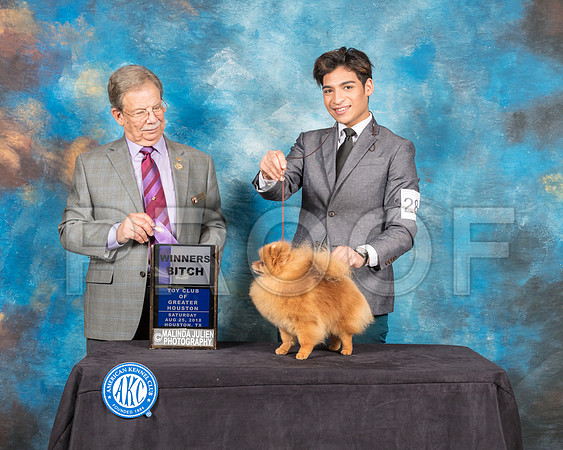 Pomeranian #28 Sat WB Judge John Ioia-SSR_9024-Hstn2018-HR3