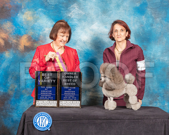 Toy Poodle #7 Sat BOV OHBOB Judge Helen Tomb Taylor-SSR_9051-Hstn2018-HR3