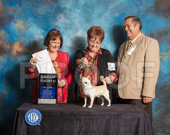 Chihuahua Smooth #21 Sat G4 Judge Helen Tomb Taylor-SSR_9096-Hstn2018-HR3