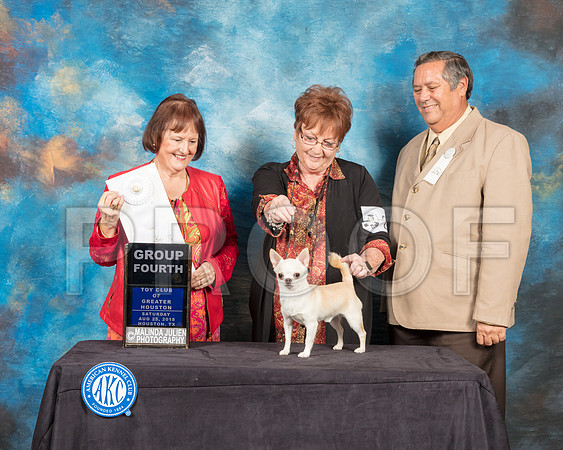 Chihuahua Smooth #21 Sat G4 Judge Helen Tomb Taylor-SSR_9100-Hstn2018-HR3