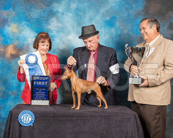 Miniature Pinscher #5 Sat G1 Judge Helen Tomb Taylor-SSR_9110-Hstn2018-HR3