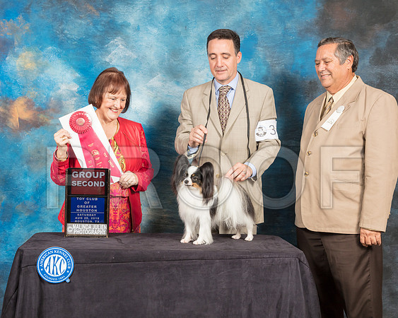 Papillon #36 Sat G2 Judge Helen Tomb Taylor-SSR_9116-Hstn2018-HR3