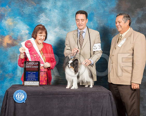 Papillon #36 Sat G2 Judge Helen Tomb Taylor-SSR_9117-Hstn2018-HR3