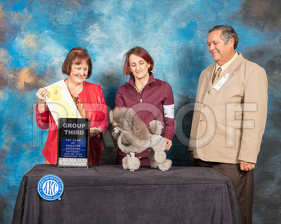 Toy Poodle #7 Sat G3 Judge Helen Tomb Taylor-SSR_9104-Hstn2018-HR3