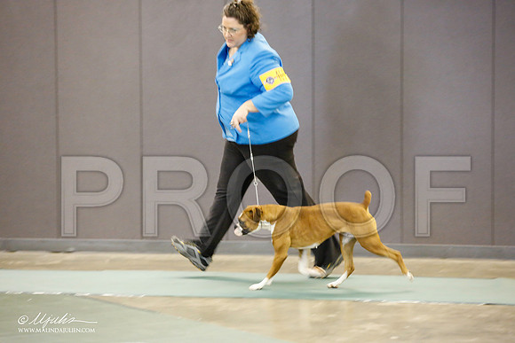 _JN_1640-BeltonJan2015-HR3